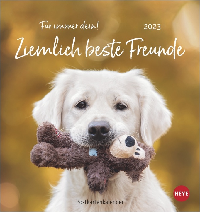 Kalender category icon/image