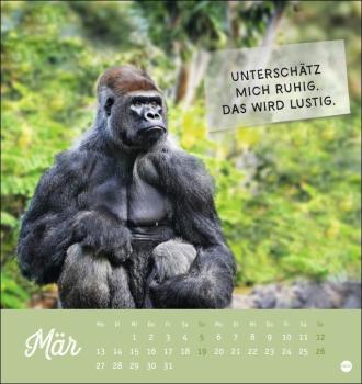 Tierisch gut drauf Postkartenkalender 2023