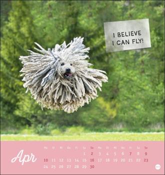 Tierisch gut drauf Postkartenkalender 2023