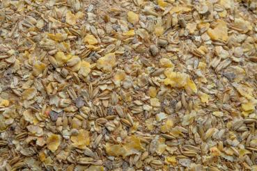 Champ Mash für Pferde 20kg