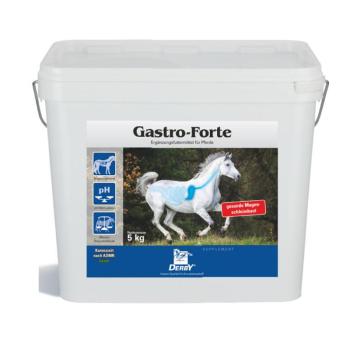 Derby Gastro Forte 5kg