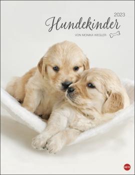 Monika Wegler - Hundekinder Posterkalender 2023  - Kalender