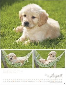 Monika Wegler - Hundekinder Posterkalender 2023  - Kalender