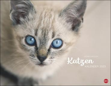 Monika Wegler - Katzenkalender 2023  - Kalender