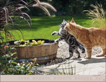 Monika Wegler - Katzenkalender 2023  - Kalender