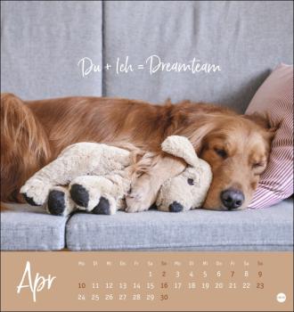 Ziemlich beste Freunde - Hunde Postkartenkalender 2023