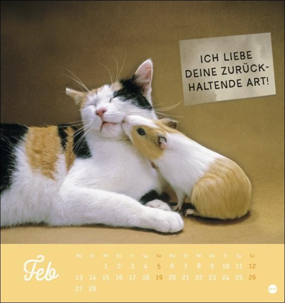 Tierisch gut drauf Postkartenkalender 2023