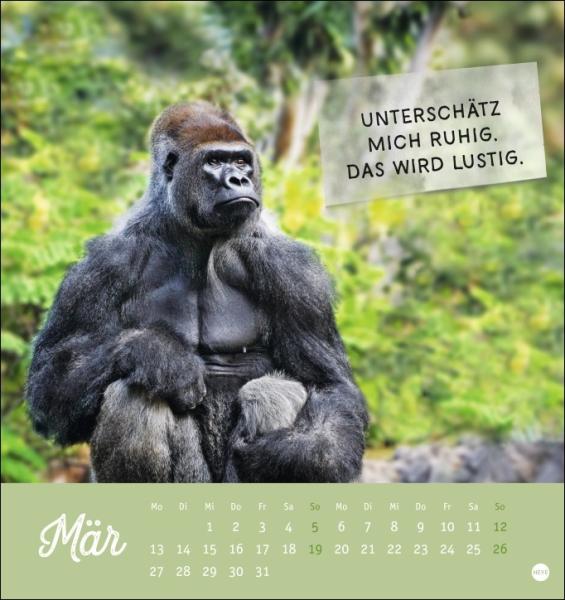 Tierisch gut drauf Postkartenkalender 2023