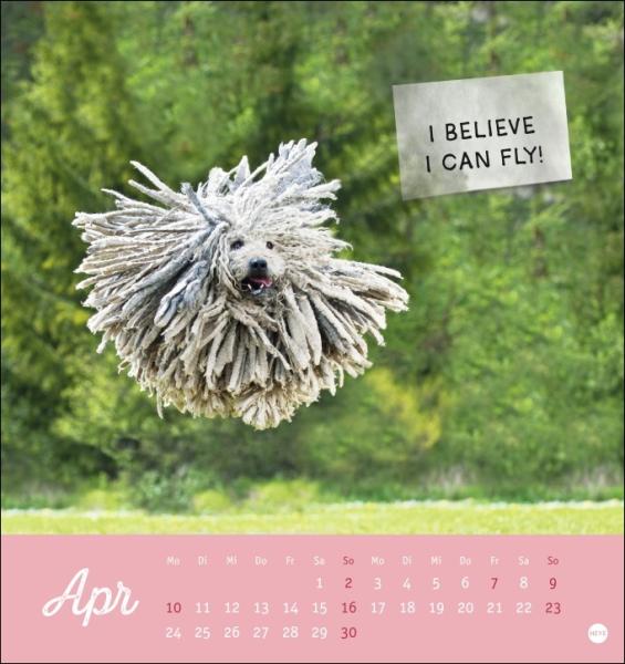Tierisch gut drauf Postkartenkalender 2023