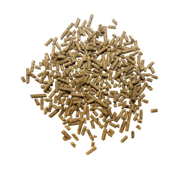 Marstall Force 4kg