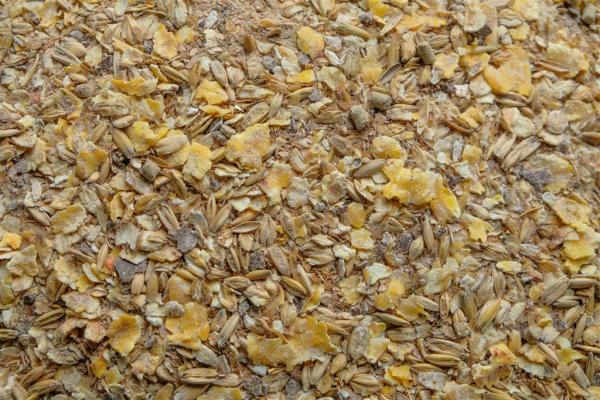 Champ Mash für Pferde 20kg
