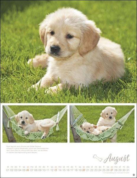 Monika Wegler - Hundekinder Posterkalender 2023  - Kalender