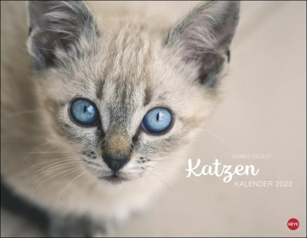 Monika Wegler - Katzenkalender 2023  - Kalender
