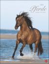 Pferde Classics Posterkalender 2023  - Kalender - Sabine Stuewer