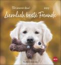 Ziemlich beste Freunde - Hunde Postkartenkalender 2023